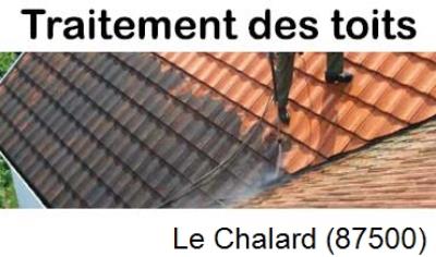 Démoussage sur toiture ardoise et tuile Le Chalard-87500