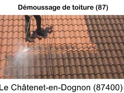 Toiture démoussage Le Châtenet-en-Dognon-87400