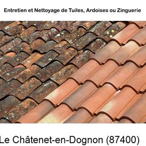 Nettoyage toiture à Le Châtenet-en-Dognon-87400