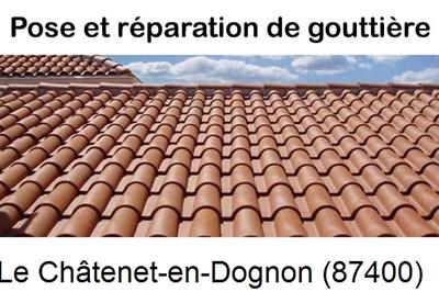 gouttière à Le Châtenet-en-Dognon-87400