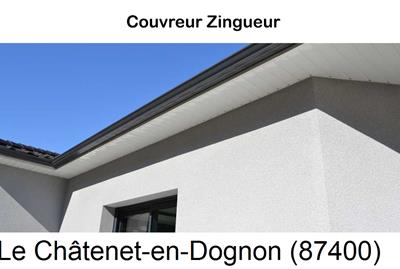 Toiture réparation, nettoyage gouttière Le Châtenet-en-Dognon-87400