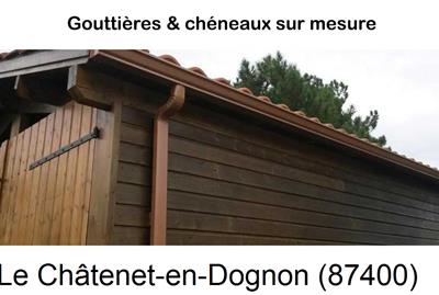 Réparation fuite gouttière Le Châtenet-en-Dognon-87400