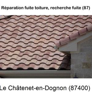 Votre couvreur pour la réparation des toits Le Châtenet-en-Dognon-87400