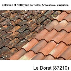 Nettoyage toiture à Le Dorat-87210