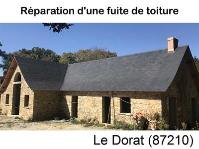 Artisan couvreur à la recherche d'une fuite Le Dorat-87210