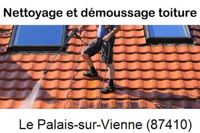 Artisan couvreur propose anti-mousse à Le Palais-sur-Vienne-87410