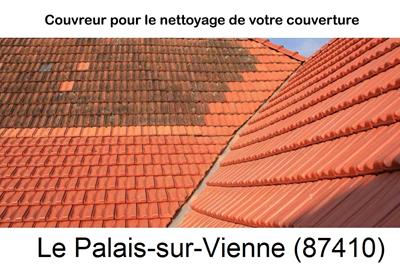 Entreprise de couverture à Le Palais-sur-Vienne-87410