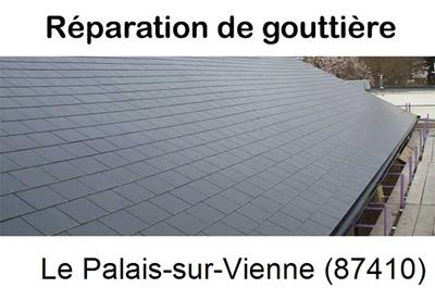 Travaux rénovation gouttière Le Palais-sur-Vienne-87410