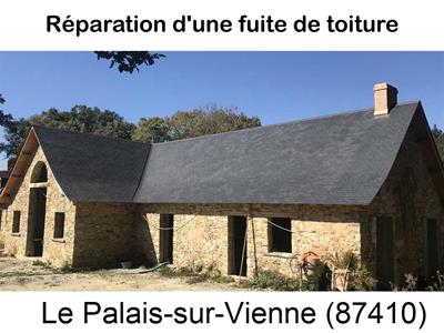 Artisan couvreur à la recherche d'une fuite Le Palais-sur-Vienne-87410