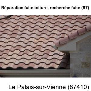 Votre couvreur pour la réparation des toits Le Palais-sur-Vienne-87410