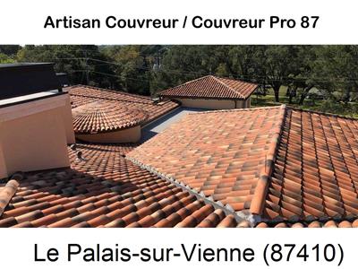 Votre couvreur dans le 87 pour la réparation de votre couverture à Le Palais-sur-Vienne-87410