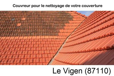 Entreprise de couverture à Le Vigen-87110