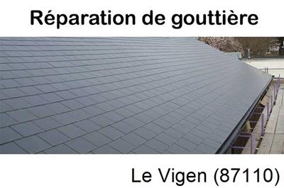 Travaux rénovation gouttière Le Vigen-87110