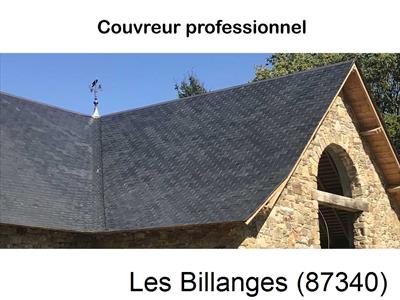 Artisan couvreur 87 Les Billanges-87340