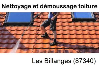 Artisan couvreur propose anti-mousse à Les Billanges-87340