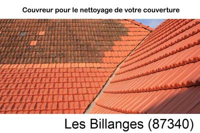 Entreprise de couverture à Les Billanges-87340