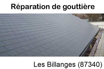 Travaux rénovation gouttière Les Billanges-87340