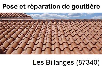 gouttière à Les Billanges-87340