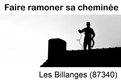 Couvreur ramoneur Les Billanges-87340