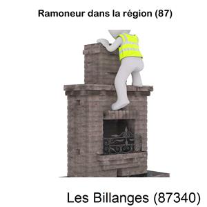 couvreur à Les Billanges-87340