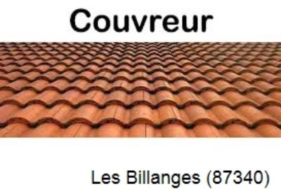 Toiture réparation à Les Billanges-87340