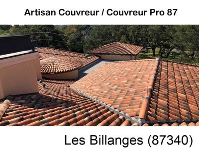 Votre couvreur dans le 87 pour la réparation de votre couverture à Les Billanges-87340