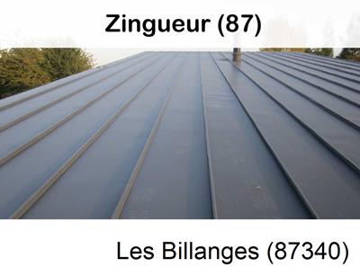 Votre zingueur en image à Les Billanges-87340