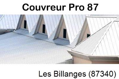 Entreprise de zinguerie à Les Billanges-87340