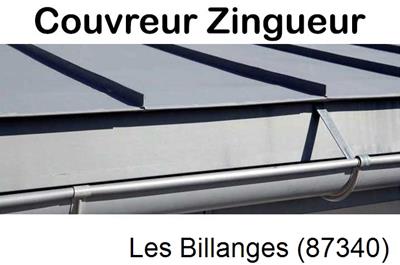 Photo toiture zinc Les Billanges-87340