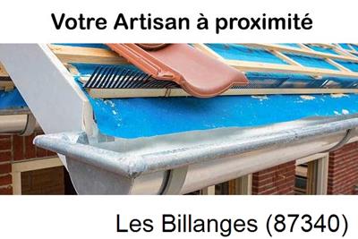 Toiture neuve en zinc Les Billanges-87340