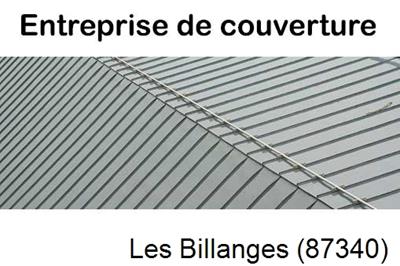 Couvreur pro 87 Les Billanges-87340