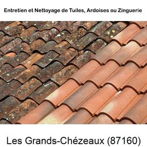 Nettoyage toiture à Les Grands-Chézeaux-87160