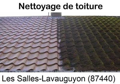 Entreprise de démoussage à Les Salles-Lavauguyon-87440