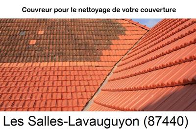 Entreprise de couverture à Les Salles-Lavauguyon-87440