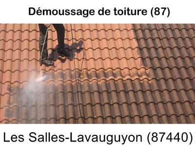 Toiture démoussage Les Salles-Lavauguyon-87440