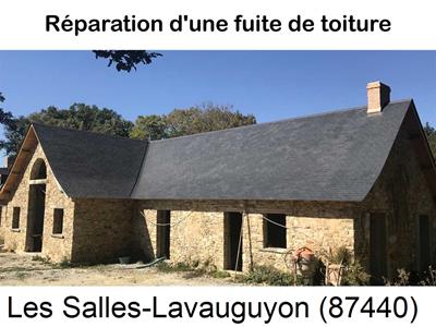 Artisan couvreur à la recherche d'une fuite Les Salles-Lavauguyon-87440