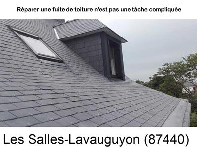 Entreprise de couverture à Les Salles-Lavauguyon-87440