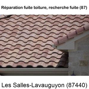 Votre couvreur pour la réparation des toits Les Salles-Lavauguyon-87440