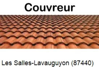 Toiture réparation à Les Salles-Lavauguyon-87440