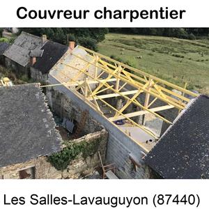 Votre artisan en charpente illustration Les Salles-Lavauguyon-87440