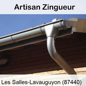 Bardage en zinc à Les Salles-Lavauguyon-87440