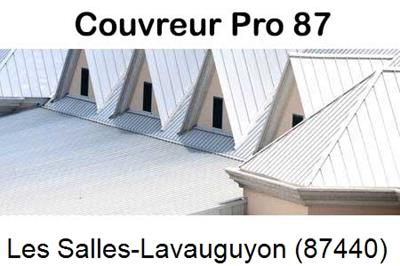 Entreprise de zinguerie à Les Salles-Lavauguyon-87440