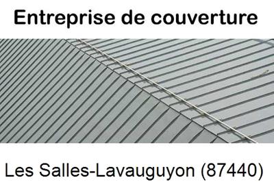 Artisan couvreur zingueur Les Salles-Lavauguyon-87440