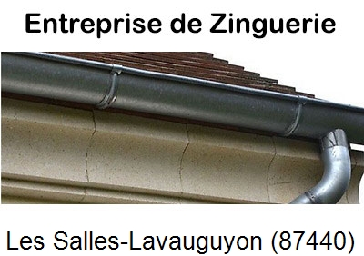 Votre zingueur en image à Les Salles-Lavauguyon-87440