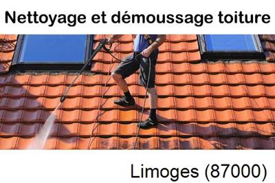 Artisan couvreur propose anti-mousse à Limoges-87000