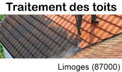 Démoussage sur toiture ardoise et tuile Limoges-87000