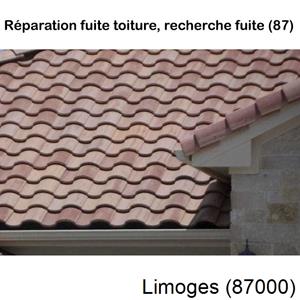 Votre couvreur pour la réparation des toits Limoges-87000