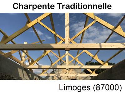 La référence en recherche de fuite toiture à Limoges-87000