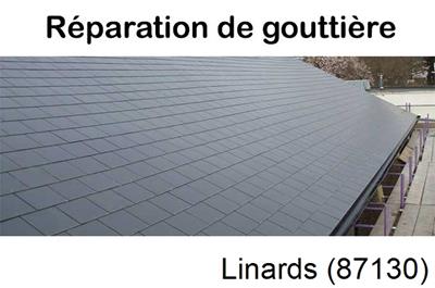 Travaux rénovation gouttière Linards-87130