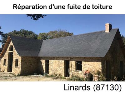 Artisan couvreur à la recherche d'une fuite Linards-87130